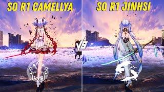 Camellya vs Jinhsi | Who is The Best DPS?? - Wuthering Waves