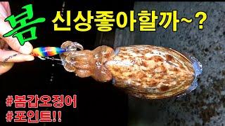 갑오징어 잡아보자!! 선상배도 매일오는곳!!