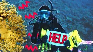 What you should ACTUALLY be afraid of when Scuba Diving