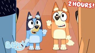 Bluey Seasons 1, 2, and 3 FULL EPISODES  | Unicorse, Faceytalk, Pass the Parcel, and More! | Bluey