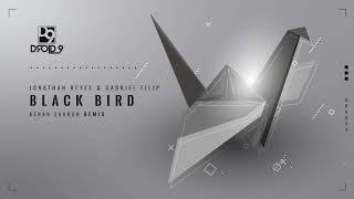 Jonathan Reyes & Gabriel Filip - Black Bird (Kenan Savrun Remix) [Droid9]