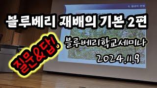 블루베리재배의기본2편&질의답