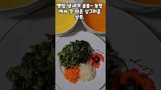 깻잎상추계란말이 #레시피 #오늘도요리 #엄마의손맛 #집밥 #집밥 #요리 #food #농장 #음식