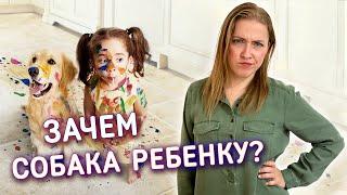 Собака для ребенка || Стоит ли заводить? Какие плюсы для ребенка от собаки?