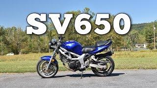 2001 Suzuki SV650: Regular Car Reviews