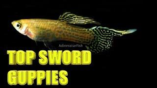 Guppy Blonde Yellow King Cobra Top Sword