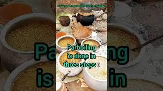 How to make parboiled rice from paddy | How to make parboiled rice from paddy #shorts #shortvideo #paddy