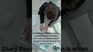 Diary Documentation or Cloning? What Auditors Need to Know