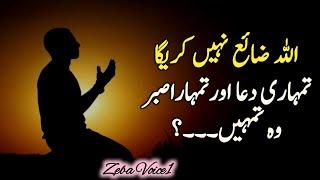 Best Urdu Qoutes | Urdu Islamic Qoutes | Best Qoutes about life | True lines | Aqwale Zareen