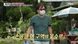 [선공개] 결혼 35년 만에 유인경이 좋아하는 과일을 알게 된 남편 정진모, 본격 키위나무 구입?! (feat.속 터지는 아내) MBN 201017 방송