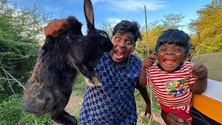 முயல் வேட்டை|Rabbit Hunting And Cooking|Rabbit Curry|Village Food Safari|Suppu