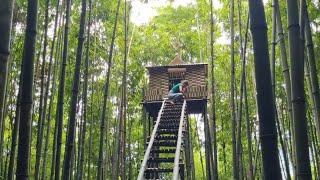 "Ultimate Treehouse in the Jungle: A Hidden Wooden Retreat!"