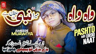 New latest Pashto Naat 2023 - Wah Wah Sumra Khaista Nabi Sultan Dy - By Ameer Muawiya امیر معاویہ