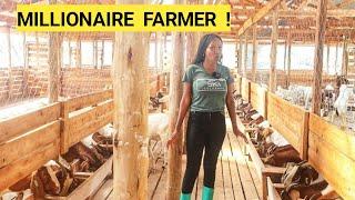 How To Feed GOATS In A Simple Goat Farm Business! | Selling Goats, New Kids & Lambs(ROUTINE)