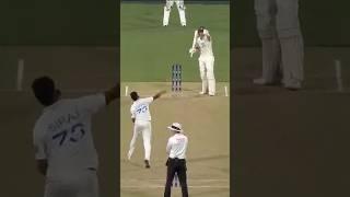 Unusual stoppage at Adelaide Oval 