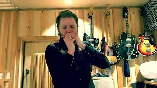DADDY LONG LEGS - #YR25 Birthday Telegram (Yep Roc Records)