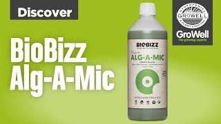 BIOBIZZ ALG-A-MIC with Dan Gulliver | DISCOVER