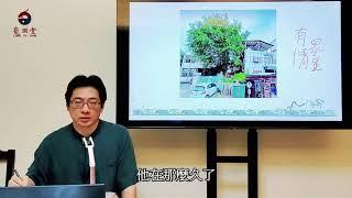 風水師不告訴你的【大樹煞】真相---陳巃羽2021年風水禁忌新解。