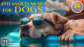 24 Hours of Anti Anxiety Music for Dogs: Cure Separation Anxiety with Dog Music & Dogs Calming Music