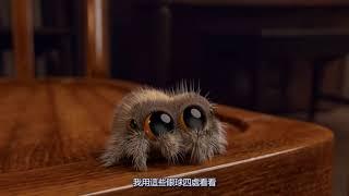 ◄ Lucas the Spider -中文字幕【超可愛的小蜘蛛-盧卡斯】►