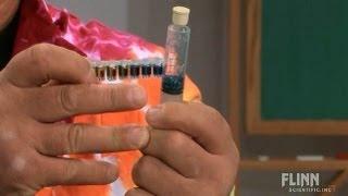 LeChatelier's Principle and the Solubility of Carbon Dioxide