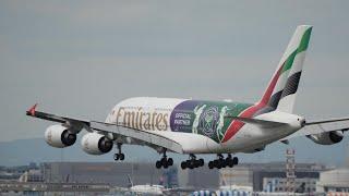 Frankfurt Airport Plane spotting 2024