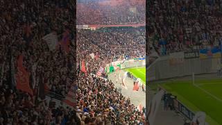 Lächerlicher Support wird von St. Pauli gekontert  #football #fussball #stpauli