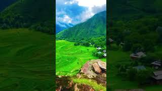 Leepa Valley Azad Kashmir #kashmir #kashmirbeauty #kashmirtourism  #shortvideo #travel #shorts