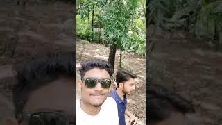 Sanjiv Gandhi National Park Mini Vlog #yotubeshorts #shorts #nature #travel #yotube