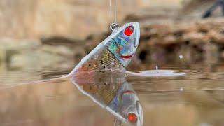 Lure Fishing Soft Plastics - The Beginners Guide