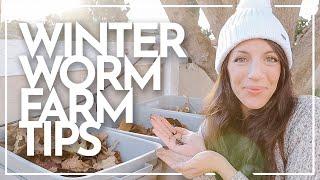 How to Maintain a Worm Farm (in Winter) | Week 3 of Worm Farm Maintenance | Worm Farm With Me