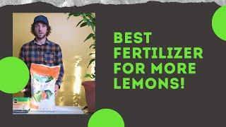 Best Citrus Fertilizer for MORE Lemons