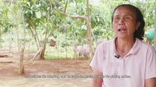 Project FATE: Making a living from coffee (Laos) - short version