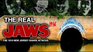 The BRUTAL True Story Behind "JAWS" | 1916 New Jersey Shark Attacks | Visiting Locations