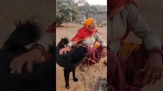 KADU WITH GG#shortvideo #shorts #vlogerveera #viral