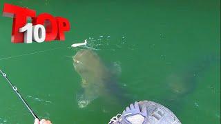 TOP 10 MOST INSANE MONSTER FISH TOPWATER ATTACK 