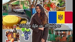 spending christmas with my grandparents in Moldova;  traditional moldovan food, village life