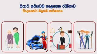 Sri Lanka Foreign Jobs || Foreign Jobs in Sri Lanka || SLBFE