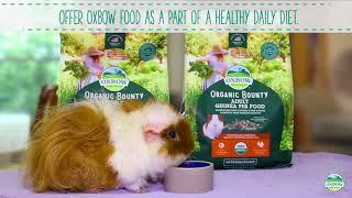 Organic Bounty Foods from Oxbow Animal Health