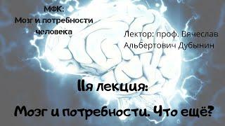 11я лекция Мозг и потребности  Что ещё  Вячеслав Дубынин