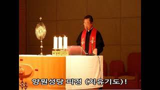 서울대교구 양원성당 피정 (치유기도)  /  김웅열 신부 (25/06/06)