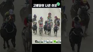 초고배당 12694.2배가 터진이유! #shorts