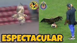 El Águila Celeste VOLANDO en el Estadio Azteca | América vs Chivas Femenil