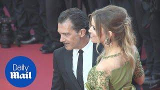 Antonio Banderas and girlfriend Nicole looked loved up in Cannes - Daily Mail