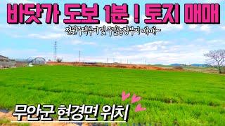 [전남토지매매] 매물번호#338 바닷가 도보 1분거리 토지 매매 ! 주말농장부지 및 전원주택부지 ! 무안군 현경면 평산리 촌땅 시골땅 매매