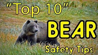 "Top 10" BEAR Safety Tips (or HOW TO AVOID BEING EATEN ALIVE!)