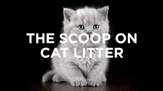 The Scoop on Cat Litter | Sierra Club Video