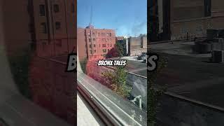 Bronx Tales #bronx #bronxtale #nycsubway #5train #nyc #urban #southbronx