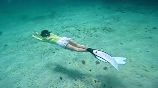 보라카이 호핑투어 프리다이빙 스노클링 스킨다이빙 boracay boracayfreedive boracayfreediving boracaydiving