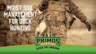 Moist Soil Management for Ducks